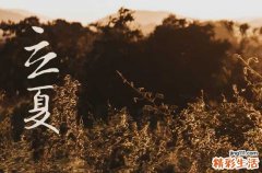 2023年立夏之后就热了吗 今年立夏之后天气会有什么变化