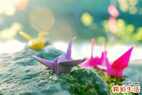 大肠息肉是怎样形成的
