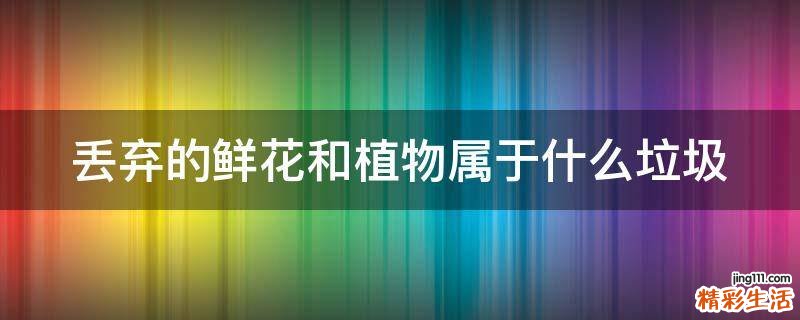 丢弃的鲜花和植物属于什么垃圾
