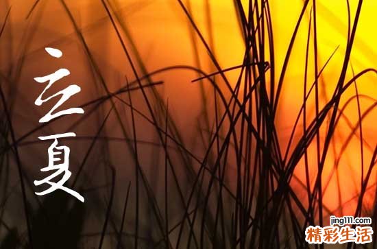 立夏是夏天的开始吗 2023年立夏节气是哪一天