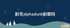 耐克alphadunk耐磨吗