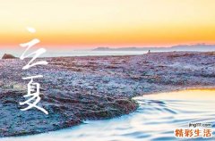 2023年立夏可以种什么菜 这几个菜一定少不了