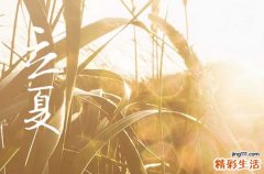 立夏前一天是农历几月 2023年的立夏前一天是农历几月几号