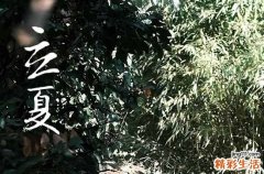 2023年立夏的准确时间 立夏的寓意