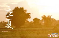 2023年立夏会下雨吗 立夏这天下雨好不好