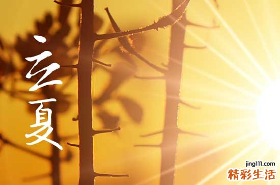 立夏时间2023几点几分 立夏是什么节日