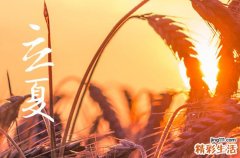 2023年立夏节气是几点 立夏时的气候变化