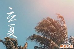 2023年立夏吃饺子还是面面条方便简单