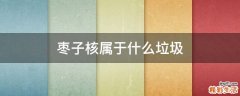 枣子核属于什么垃圾