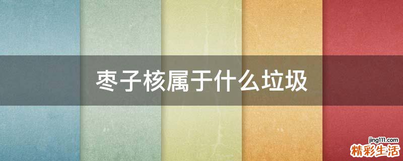 枣子核属于什么垃圾
