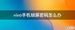 vivo手机锁屏密码怎么办