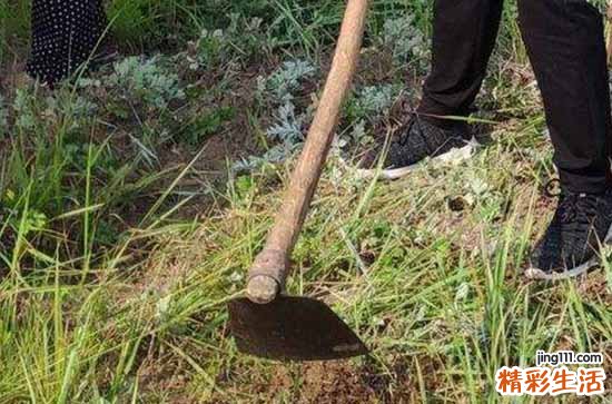 2023劳动节的来历简介 五一劳动节是怎么来的
