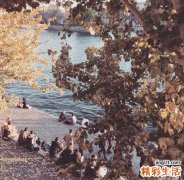 油松花粉的功效