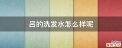 吕的洗发水怎么样呢