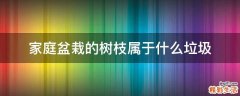 家庭盆栽的树枝属于什么垃圾
