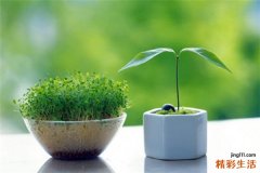 春季养生 古代中医保健的七大秘方