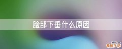 脸部下垂什么原因