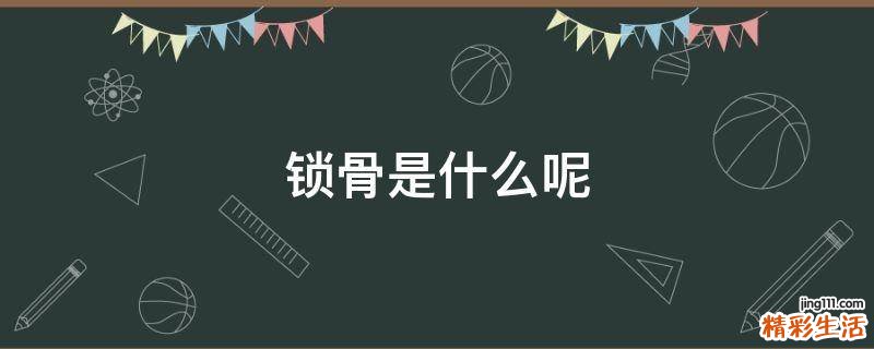 锁骨是什么呢