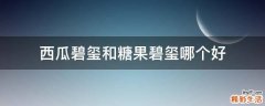 西瓜碧玺和糖果碧玺哪个好
