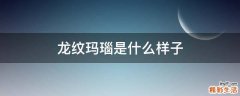龙纹玛瑙是什么样子