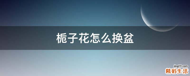 栀子花怎么换盆