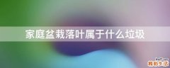 家庭盆栽落叶属于什么垃圾