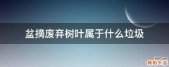 盆摘废弃树叶属于什么垃圾