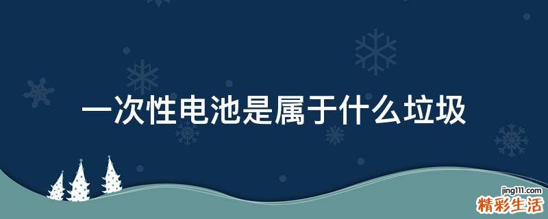 一次性电池是属于什么垃圾