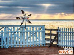 淋病是怎么样传播的呢