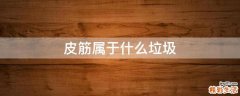 皮筋属于什么垃圾