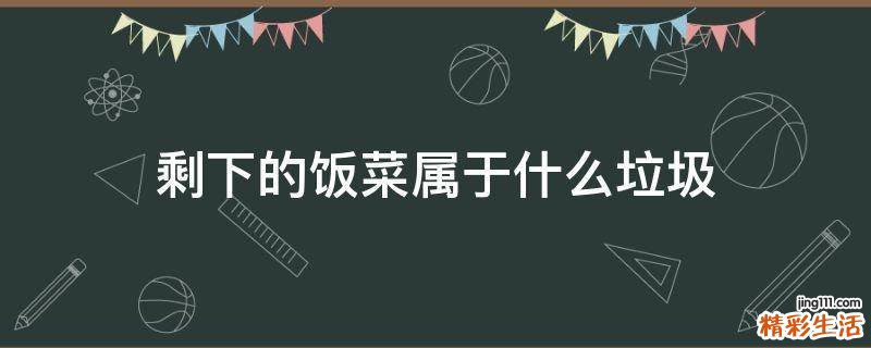 剩下的饭菜属于什么垃圾