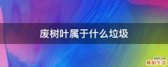 废树叶属于什么垃圾