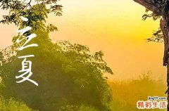 2023年立夏是哪天 2023立夏如何养生