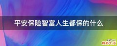 平安保险智富人生都保的什么