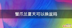 蟹爪兰夏天可以换盆吗