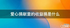 爱心捐献里的收益捐是什么