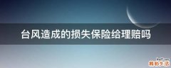 台风造成的损失保险给理赔吗