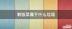 剩饭菜属于什么垃圾