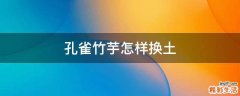 孔雀竹芋怎样换土