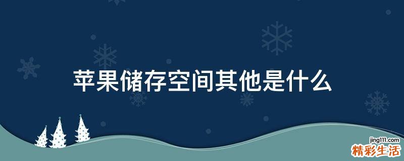 苹果储存空间其他是什么