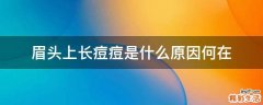 眉头上长痘痘是什么原因何在