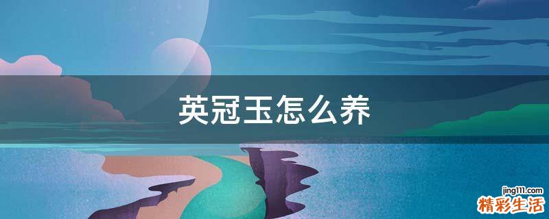 英冠玉怎么养