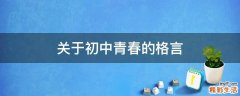 关于初中青春的格言