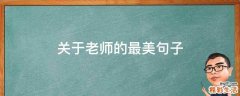 关于老师的最美句子