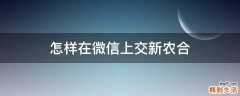 怎样在微信上交新农合