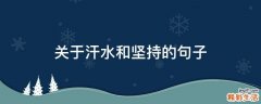 关于汗水和坚持的句子