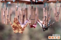 2 胃食管返流患者睡觉不宜右侧卧