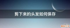 剪下来的头发如何保存
