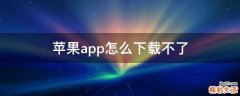 蘋(píng)果app怎么下載不了