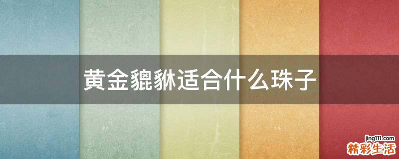 黄金貔貅适合什么珠子